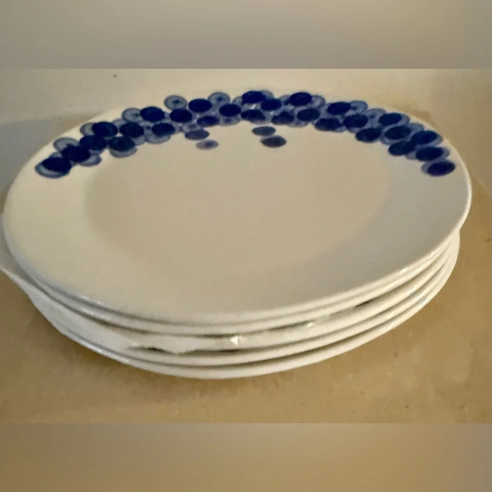 COPY - 5 VTG Crate&Barrel RIKA salad/dessert plates. 8.75” Blueberries
